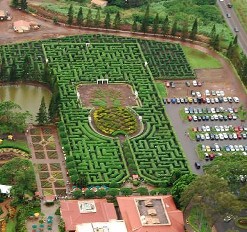 Лабіринт Pineapple Garden Maze